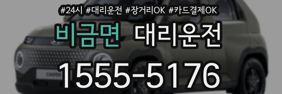 비금면 대리운전