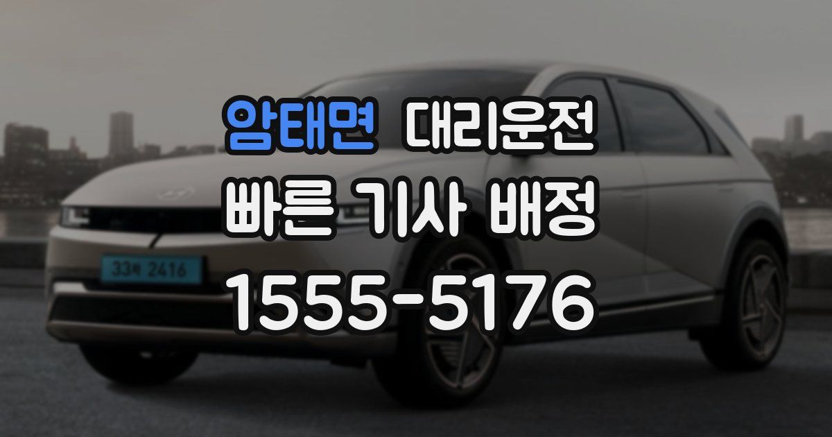 일일대리기사