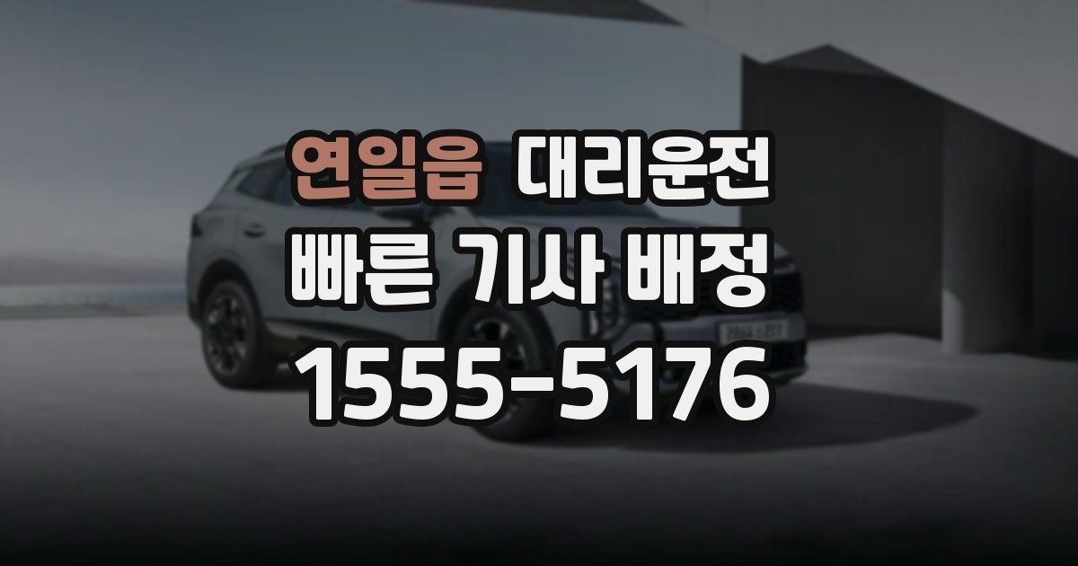 일일대리기사