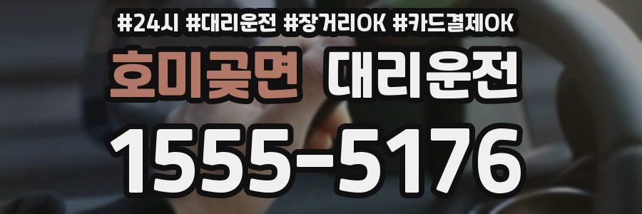 호미곶면 대리운전