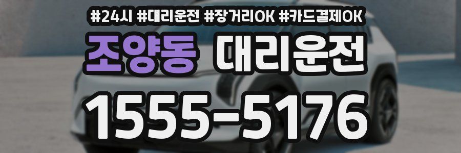 조양동 대리운전