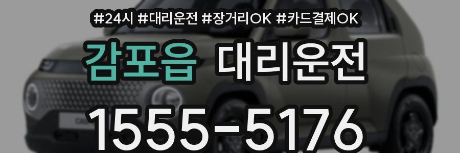 감포읍 대리운전