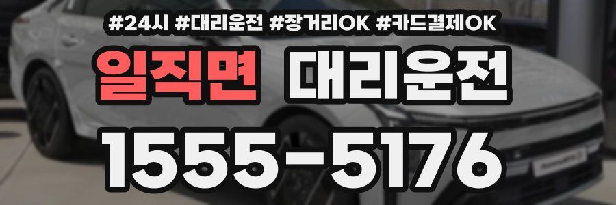 일직면 대리운전