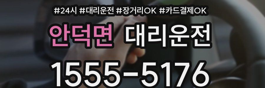 안덕면 대리운전