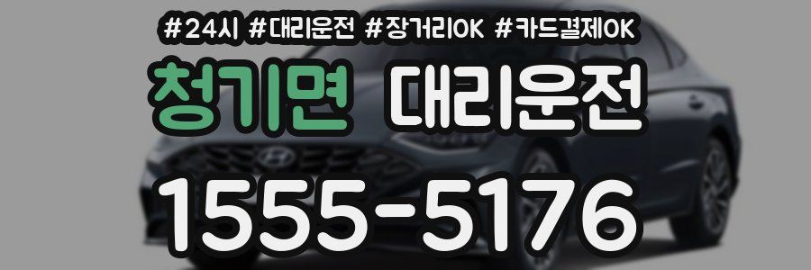 청기면 대리운전