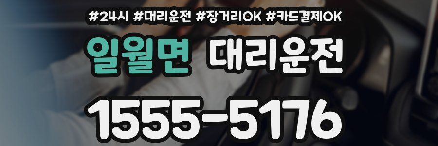일월면 대리운전