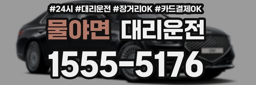 물야면 대리운전