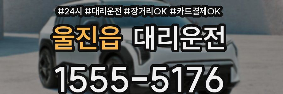 울진읍 대리운전