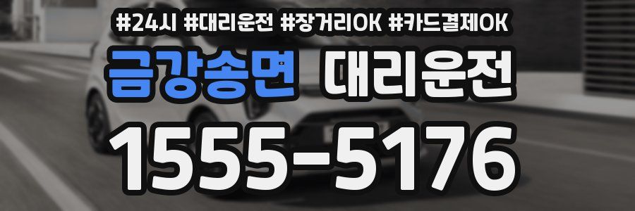 금강송면 대리운전