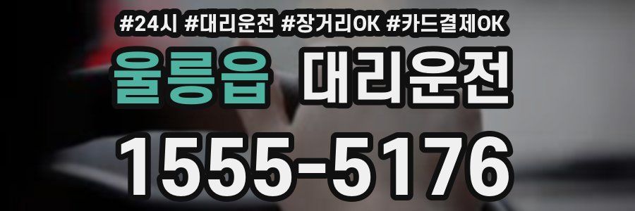 울릉읍 대리운전