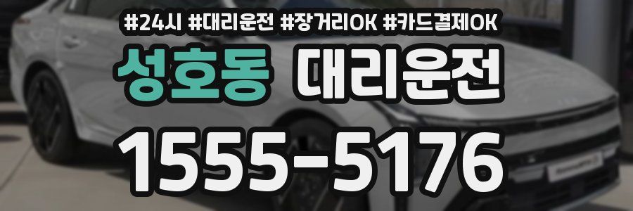 성호동 대리운전