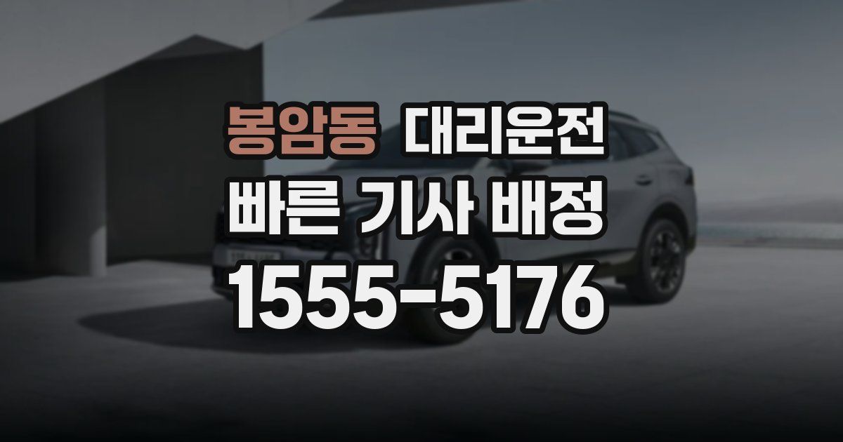 일일대리기사