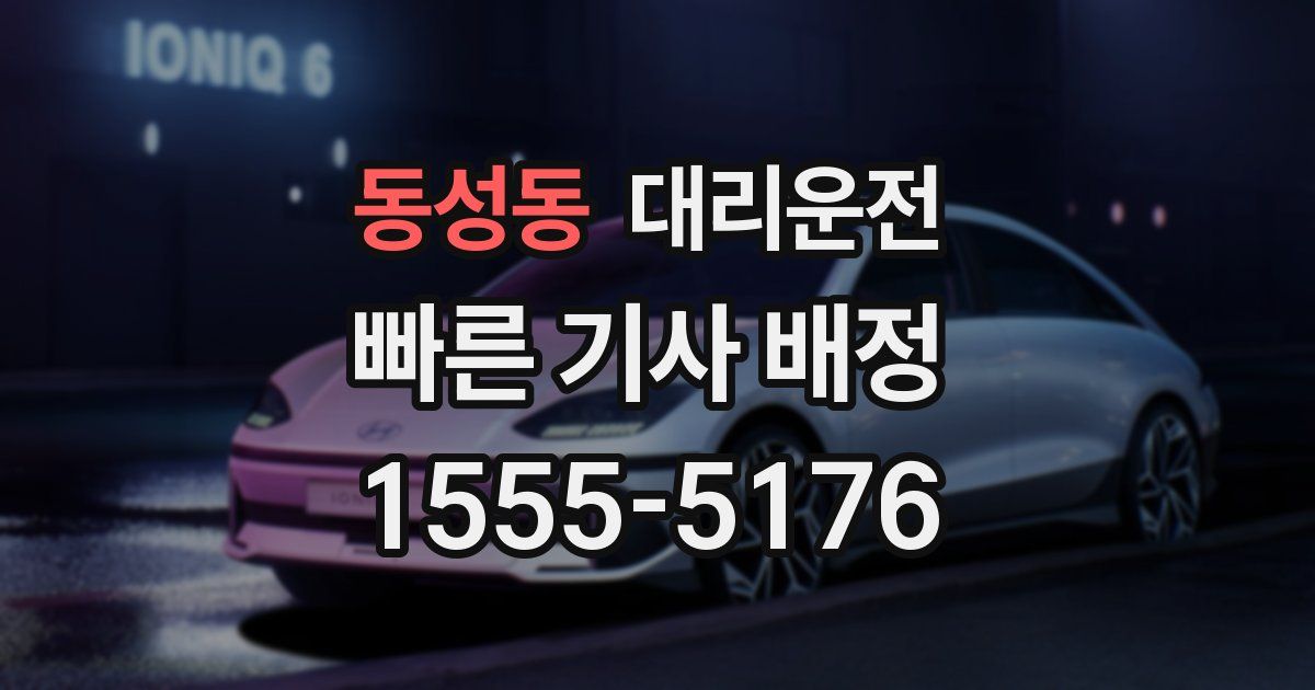 일일대리기사