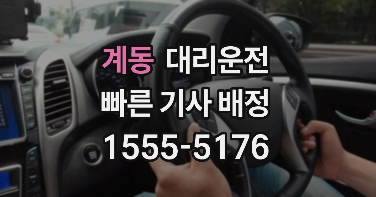 일일대리기사