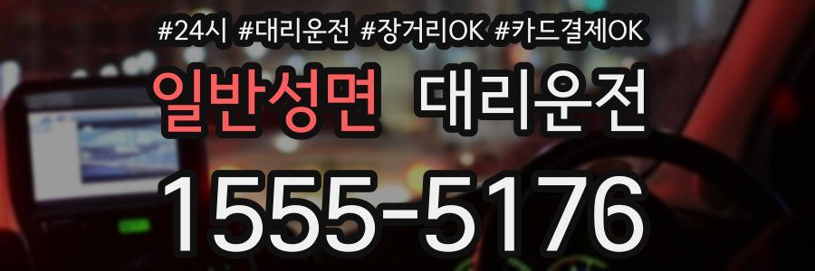 일반성면 대리운전