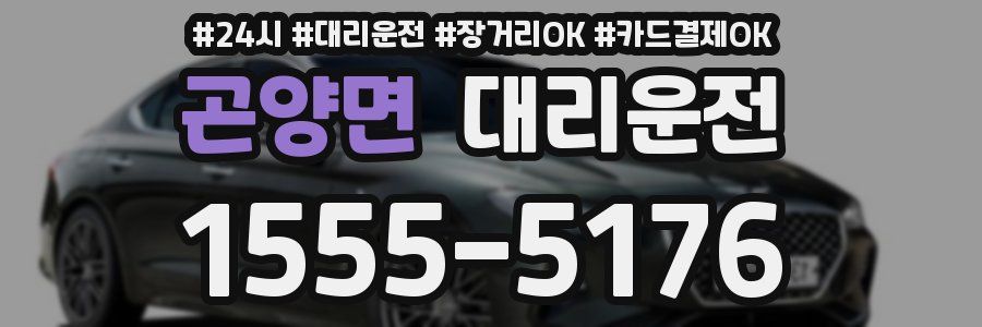 곤양면 대리운전