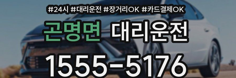 곤명면 대리운전