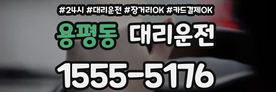 용평동 대리운전