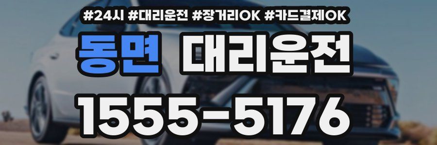 동면 대리운전