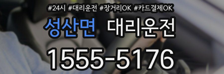 성산면 대리운전