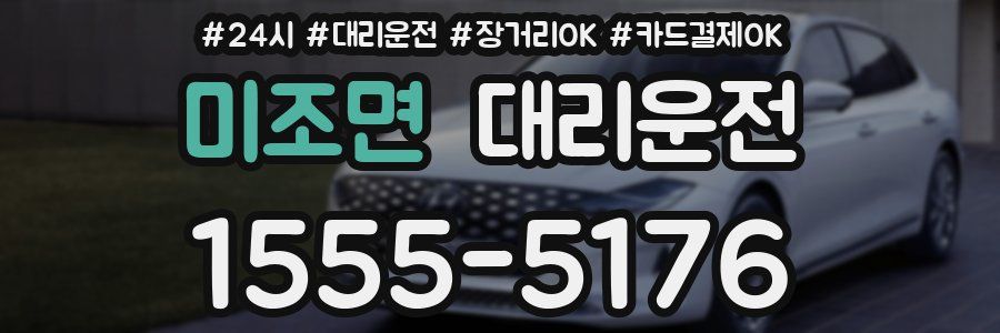 미조면 대리운전