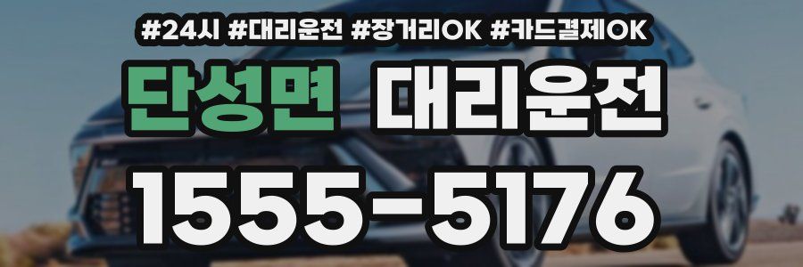 단성면 대리운전