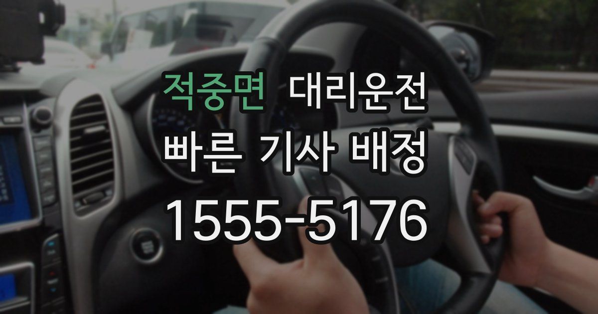 일일대리기사