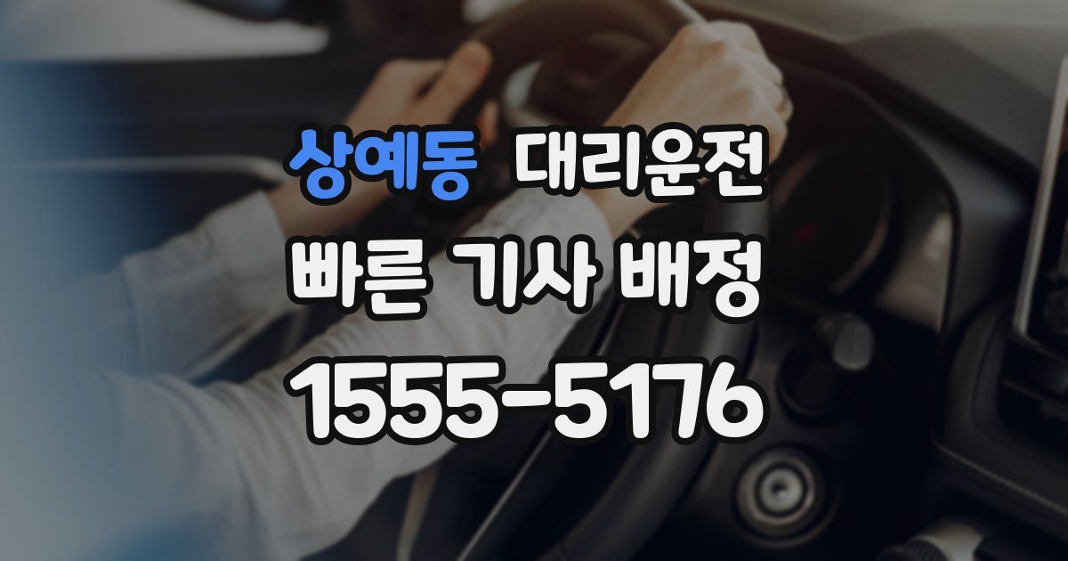 일일대리기사