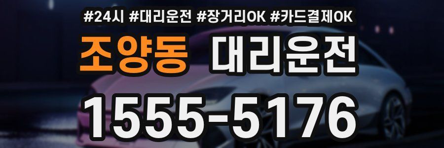조양동 대리운전