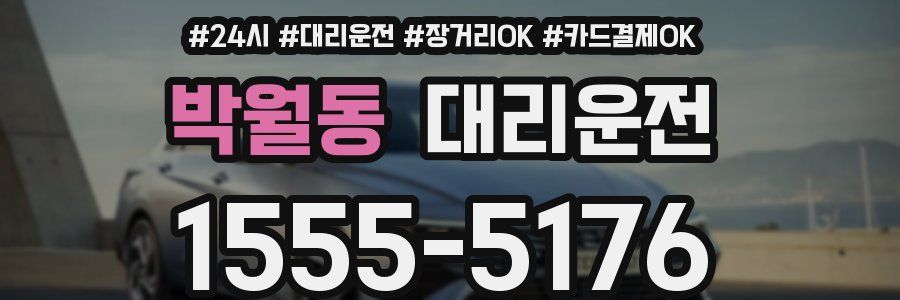 박월동 대리운전