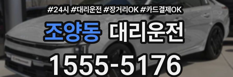 조양동 대리운전