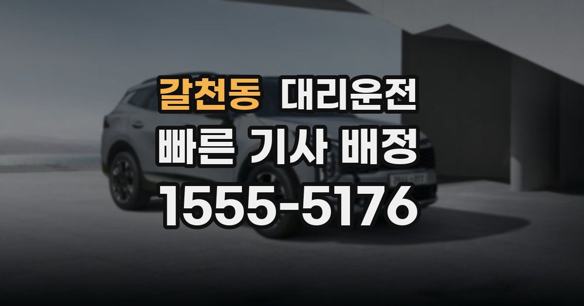 일일대리기사