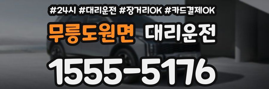 무릉도원면 대리운전