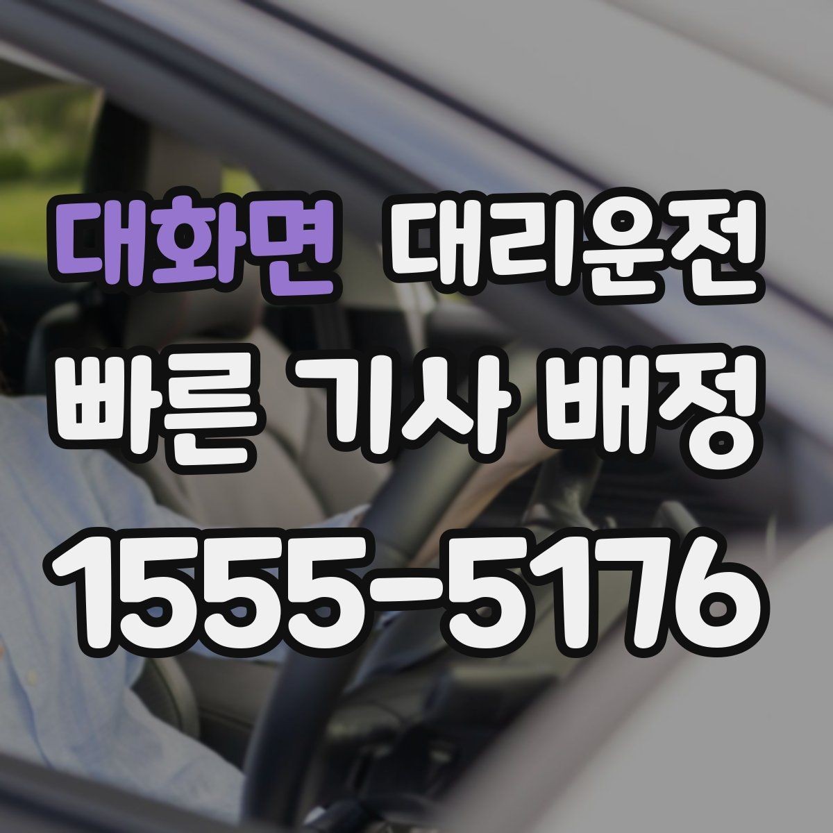 대화면 대리운전 반려동물 이동 시 안전 벨트 안내