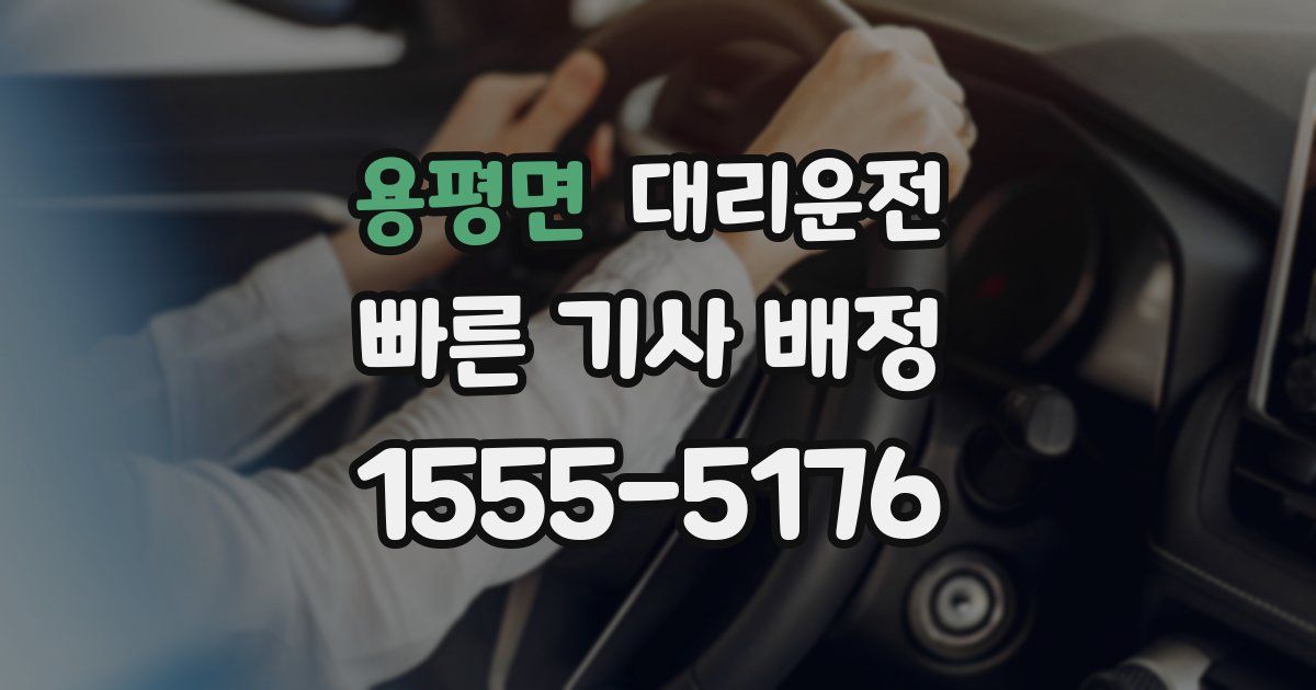 일일대리기사