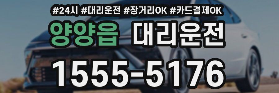 양양읍 대리운전