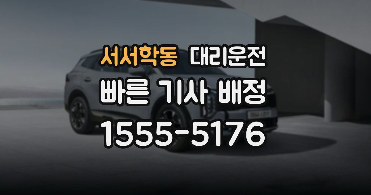 일일대리기사