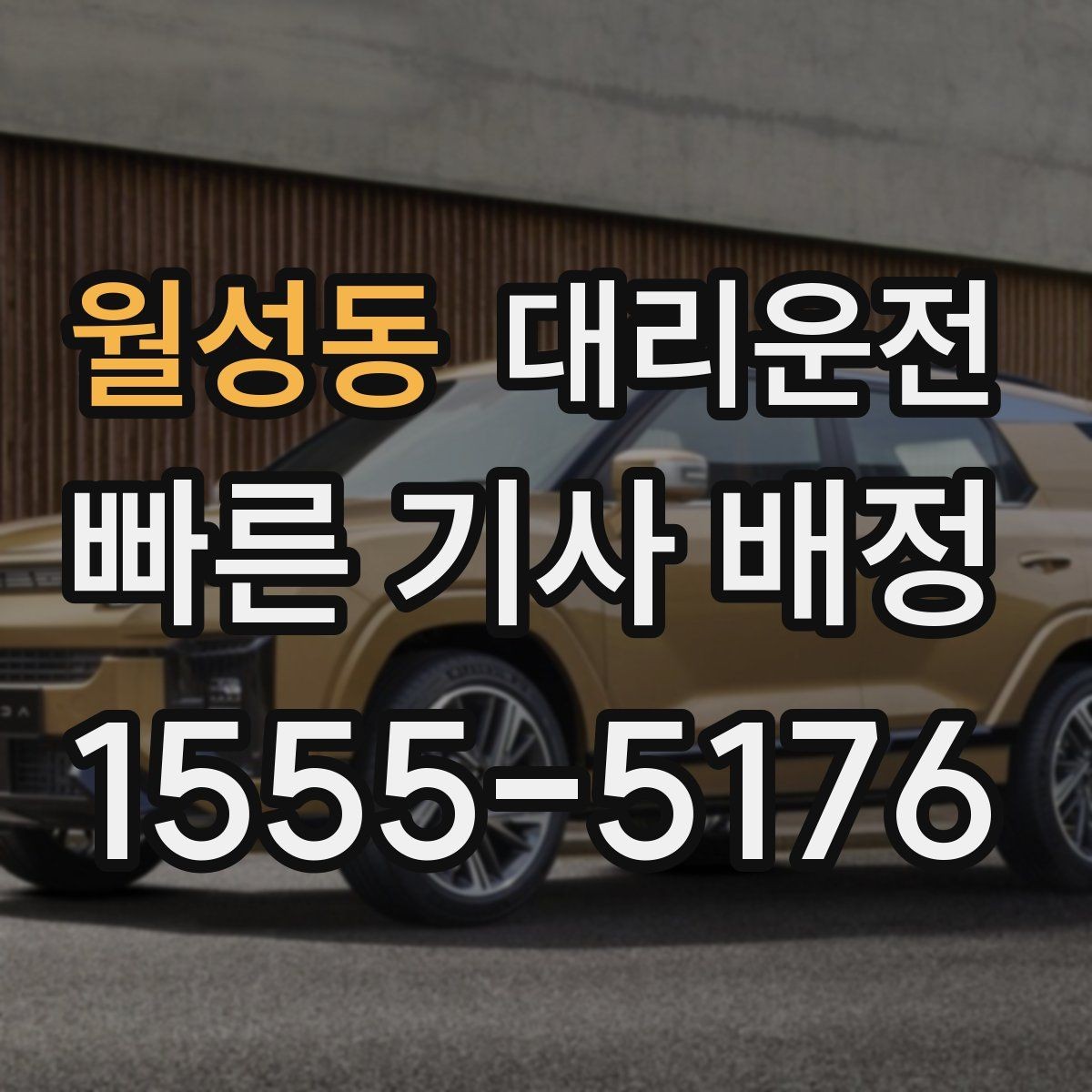 월성동 대리운전 반려동물 케이지 안내 사항
