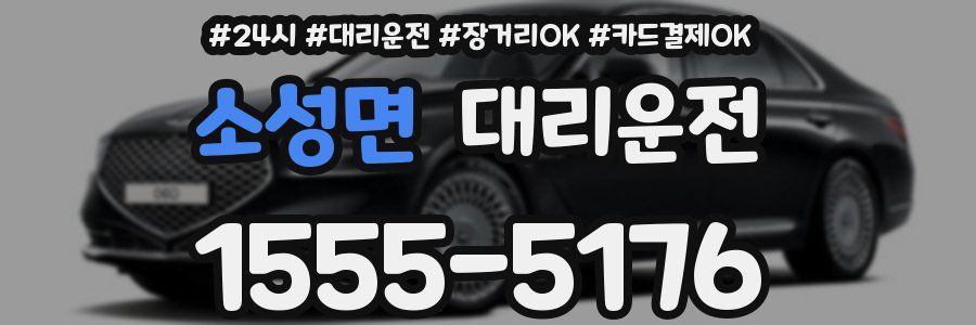 소성면 대리운전