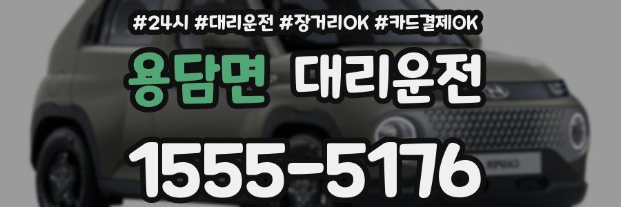 용담면 대리운전