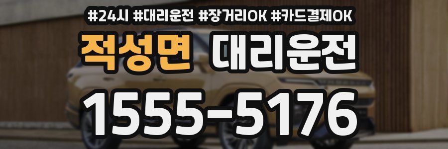 적성면 대리운전