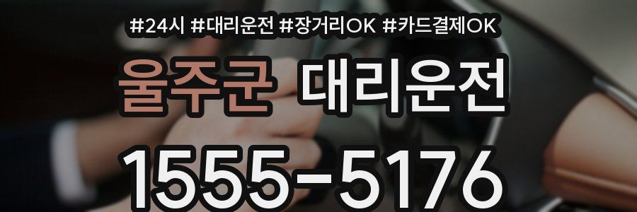 울주군 대리운전