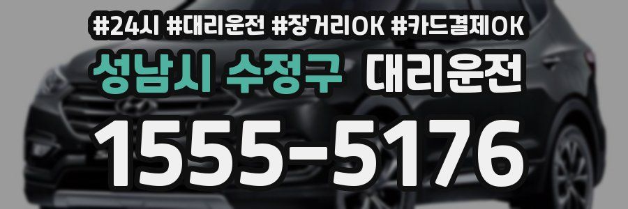 성남시 수정구 대리운전