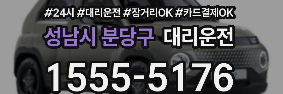 성남시 분당구 대리운전