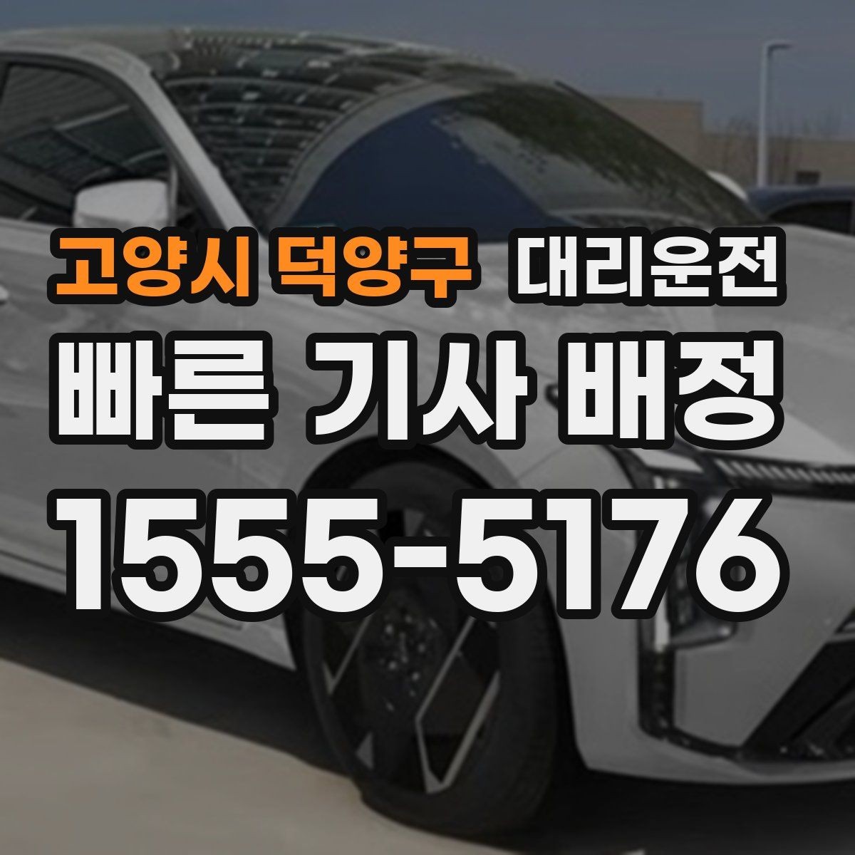 고양시 덕양구 대리운전 권장하는 승하차 위치