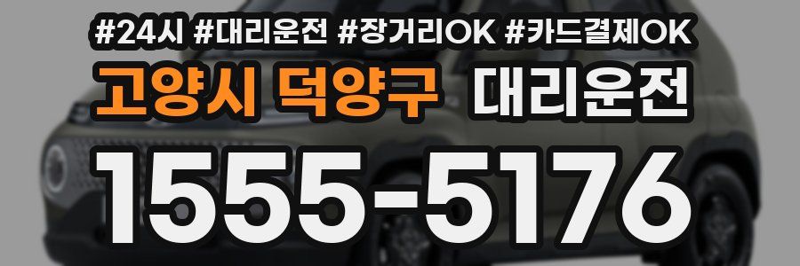 고양시 덕양구 대리운전