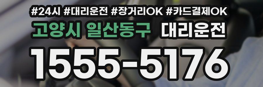 고양시 일산동구 대리운전