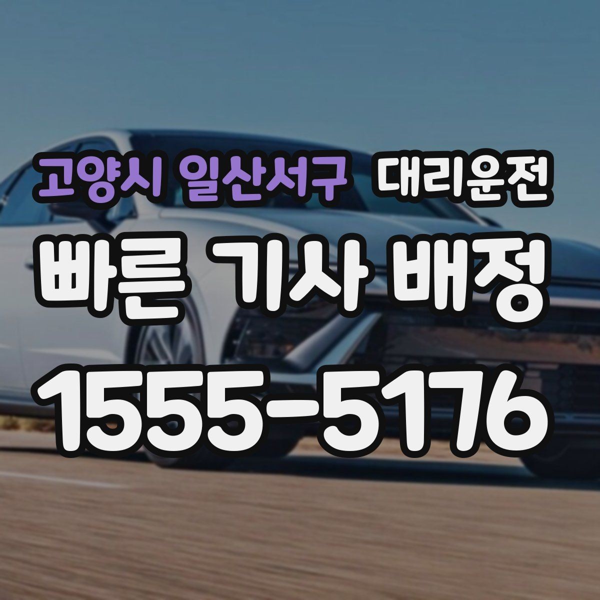 고양시 일산서구 대리운전 병원·약국 경유 동행 가능