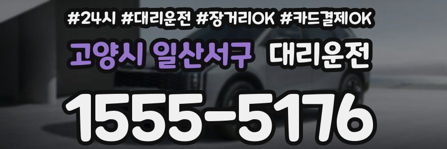 고양시 일산서구 대리운전