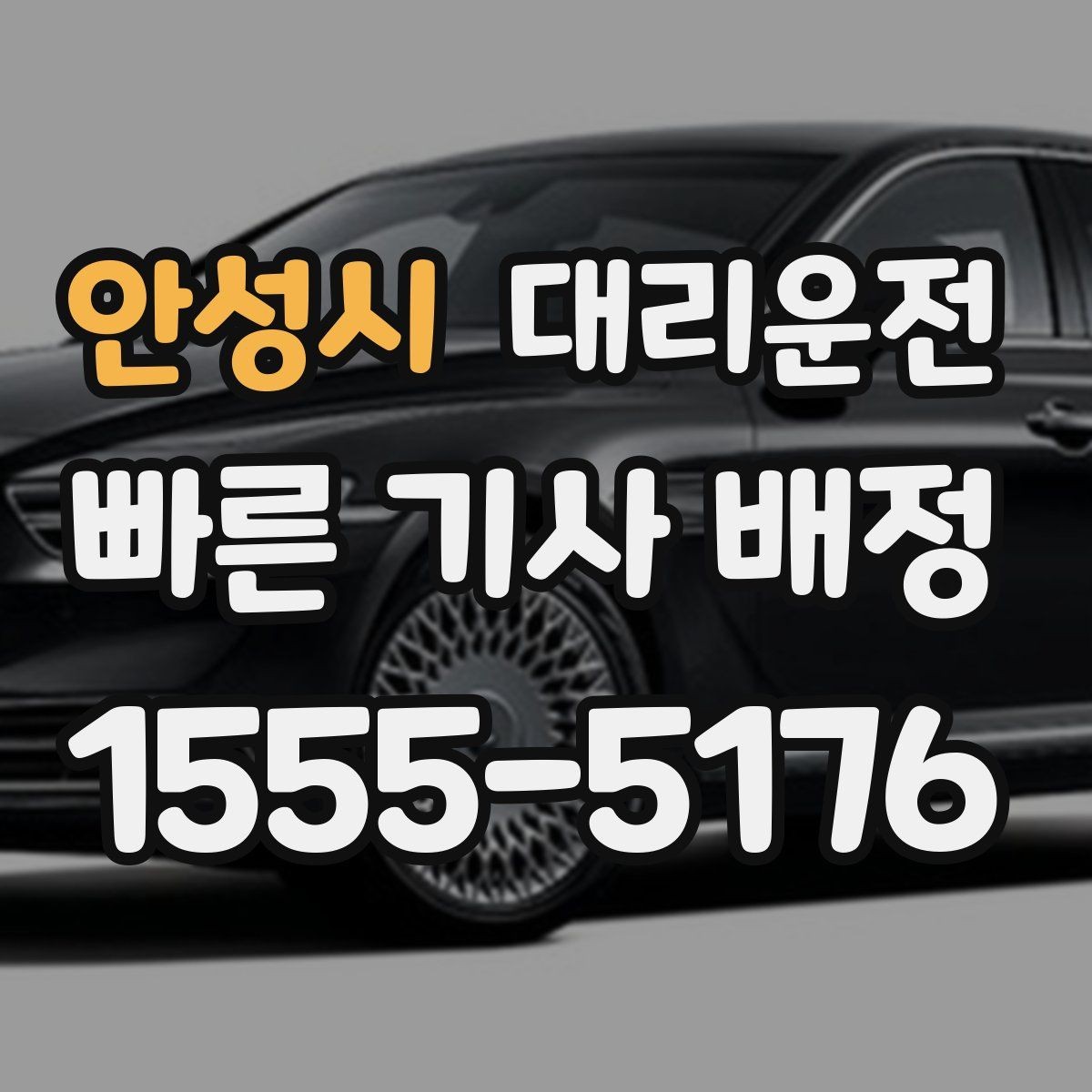 안성시 대리운전 일일기사 반일 종일 이용 안내